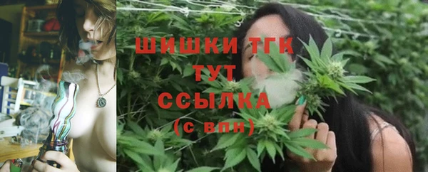 СК Волосово